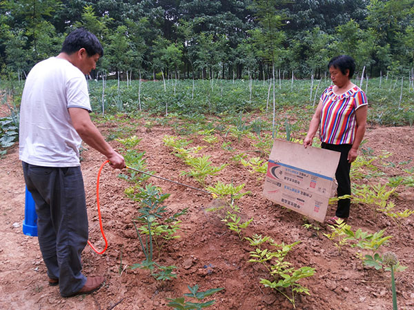 做產(chǎn)品效果對(duì)比實(shí)驗(yàn)時(shí)注意事項(xiàng)